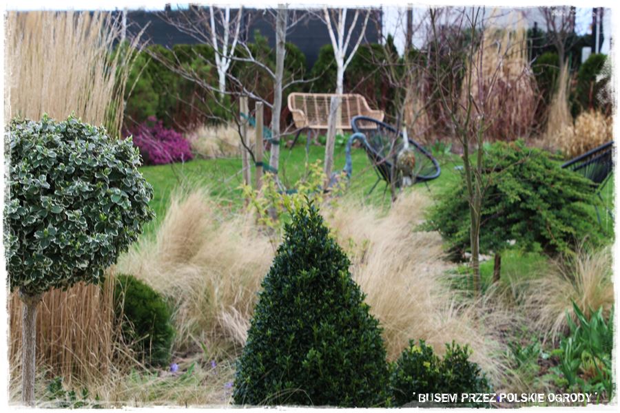 ogrod atrakcyjny caly rok 28 ogrod atrakcyjny caly rok 28