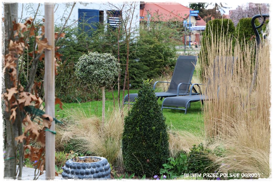 ogrod atrakcyjny caly rok 30 ogrod atrakcyjny caly rok 30