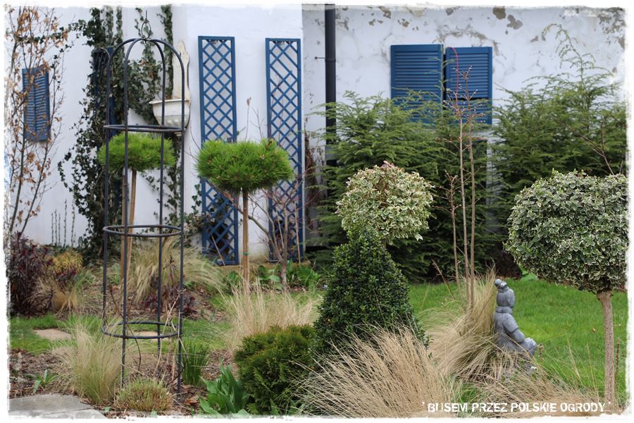 ogrod atrakcyjny caly rok 35 ogrod atrakcyjny caly rok 35