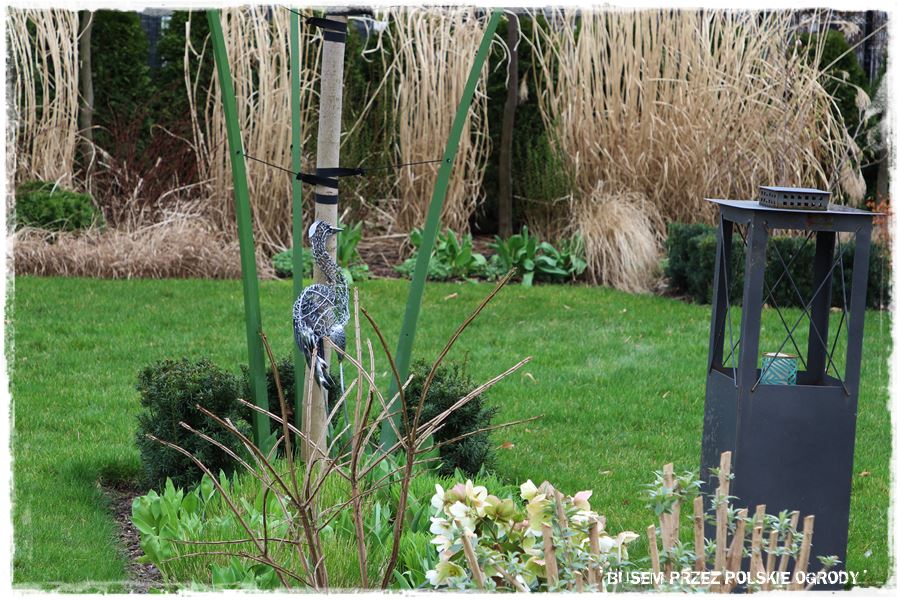 ogrod atrakcyjny caly rok 35a ogrod atrakcyjny caly rok 35a