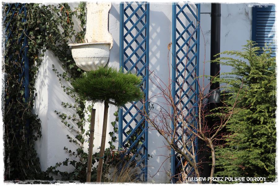 ogrod atrakcyjny caly rok 35b ogrod atrakcyjny caly rok 35b