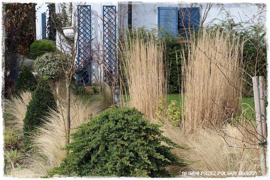 ogrod atrakcyjny caly rok 37 ogrod atrakcyjny caly rok 37