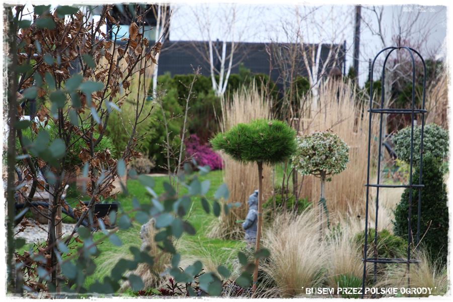 ogrod atrakcyjny caly rok 37b ogrod atrakcyjny caly rok 37b