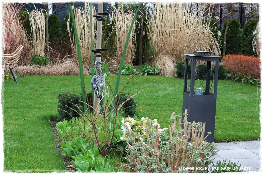 ogrod atrakcyjny caly rok 38 ogrod atrakcyjny caly rok 38