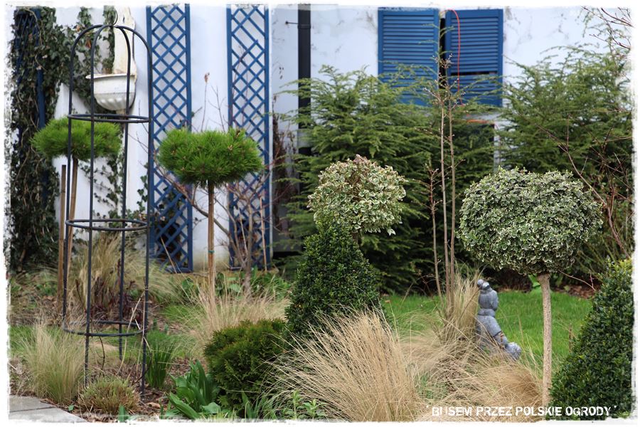 ogrod atrakcyjny caly rok 39 ogrod atrakcyjny caly rok 39