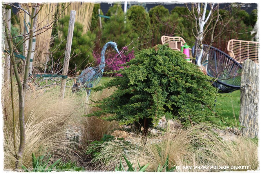 ogrod atrakcyjny caly rok 40 ogrod atrakcyjny caly rok 40