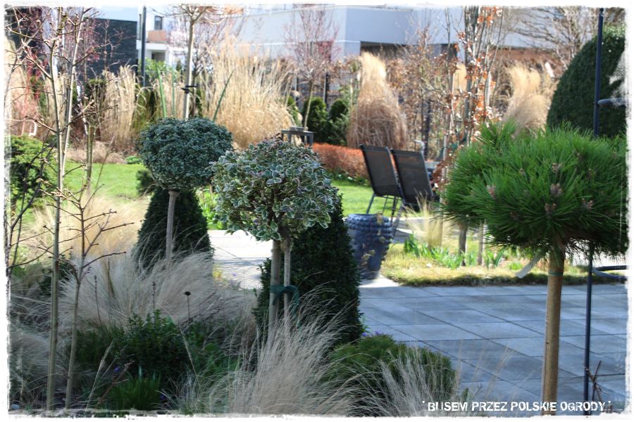ogrod atrakcyjny caly rok 41 ogrod atrakcyjny caly rok 41