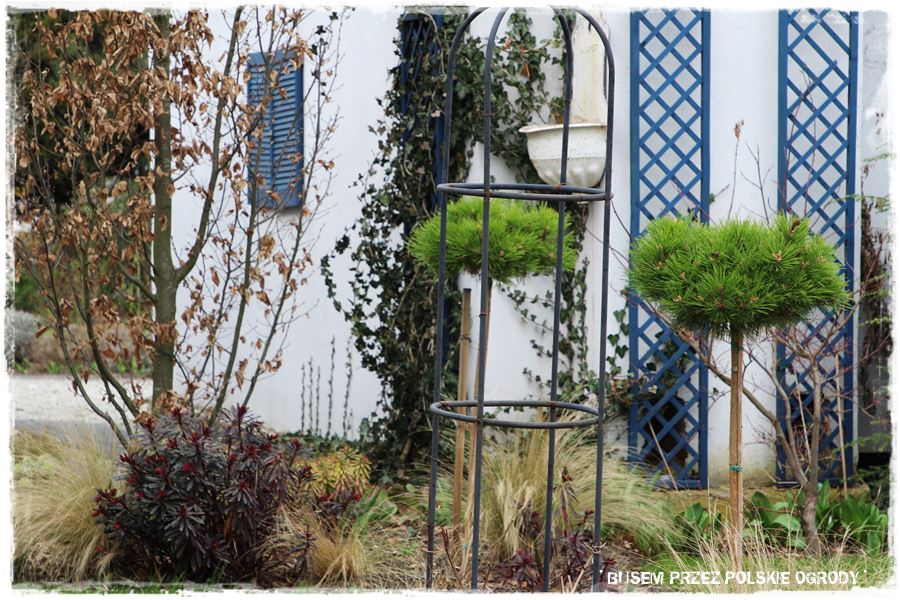 ogrod atrakcyjny caly rok 41b ogrod atrakcyjny caly rok 41b