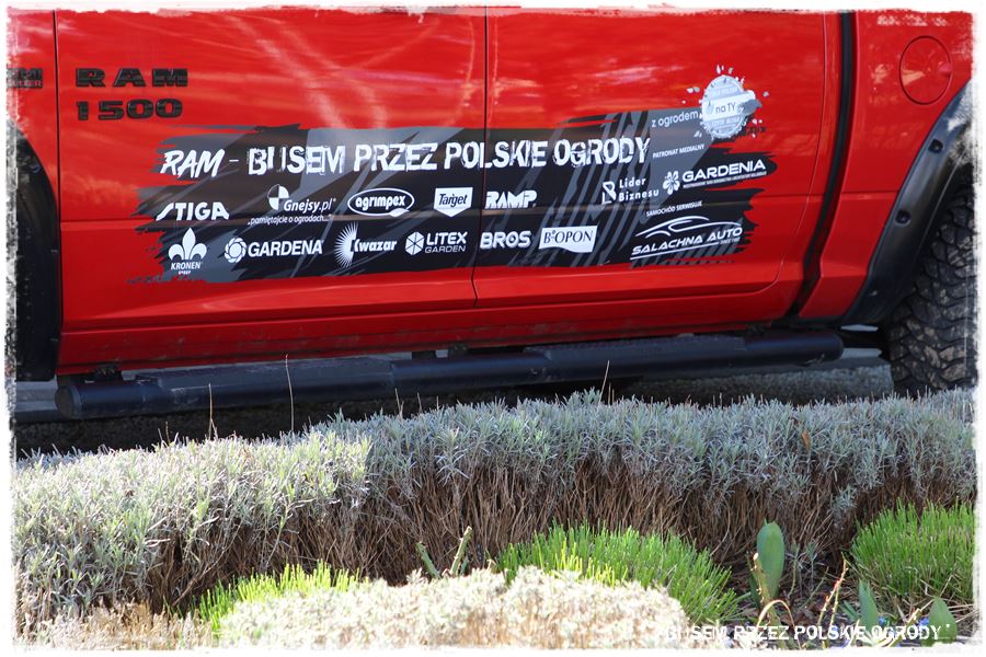 ogrod atrakcyjny caly rok 43 ogrod atrakcyjny caly rok 43