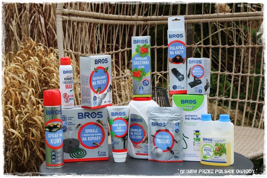 ogrod atrakcyjny caly rok 46 ogrod atrakcyjny caly rok 46