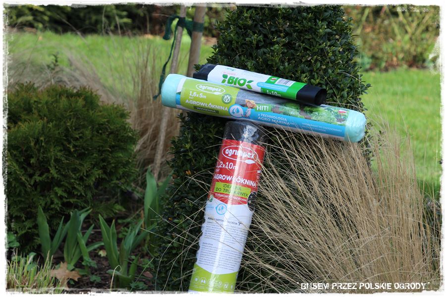 ogrod atrakcyjny caly rok 47 ogrod atrakcyjny caly rok 47