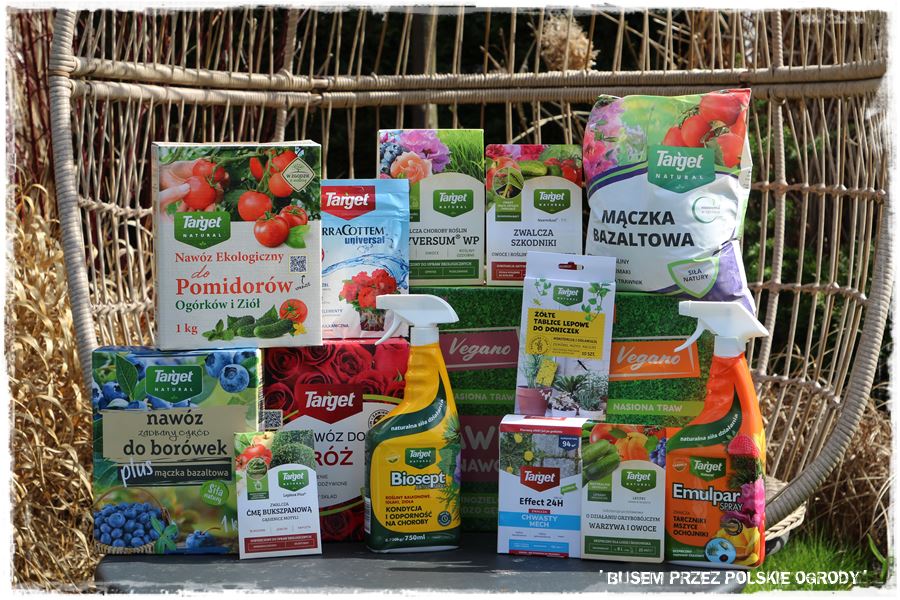 ogrod atrakcyjny caly rok 48 ogrod atrakcyjny caly rok 48