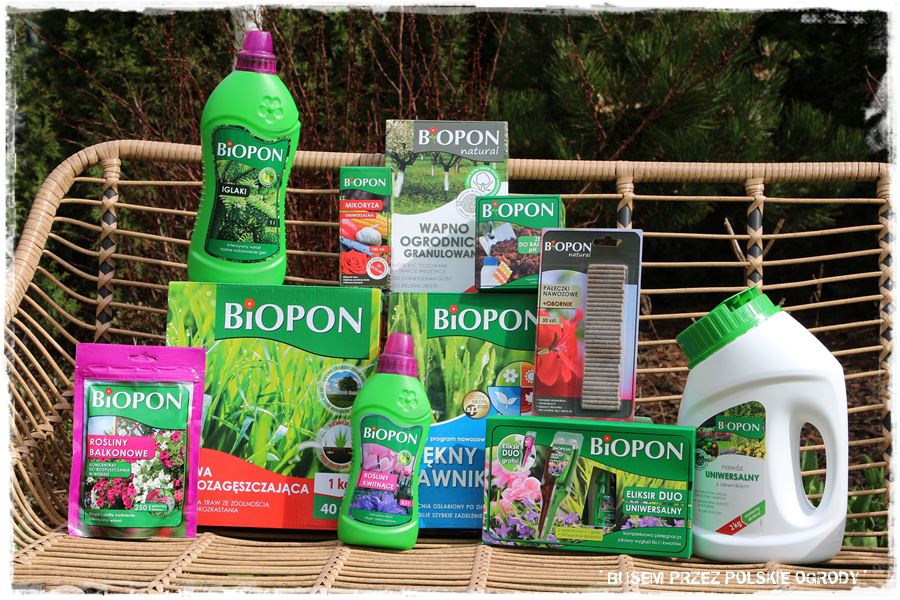 ogrod atrakcyjny caly rok 54 ogrod atrakcyjny caly rok 54