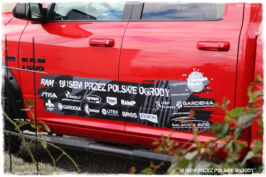 ogrod atrakcyjny caly rok 7 ogrod atrakcyjny caly rok 7