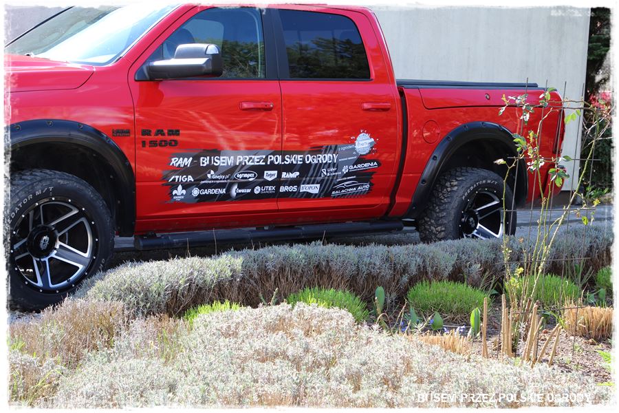 ogrod atrakcyjny caly rok 8a ogrod atrakcyjny caly rok 8a