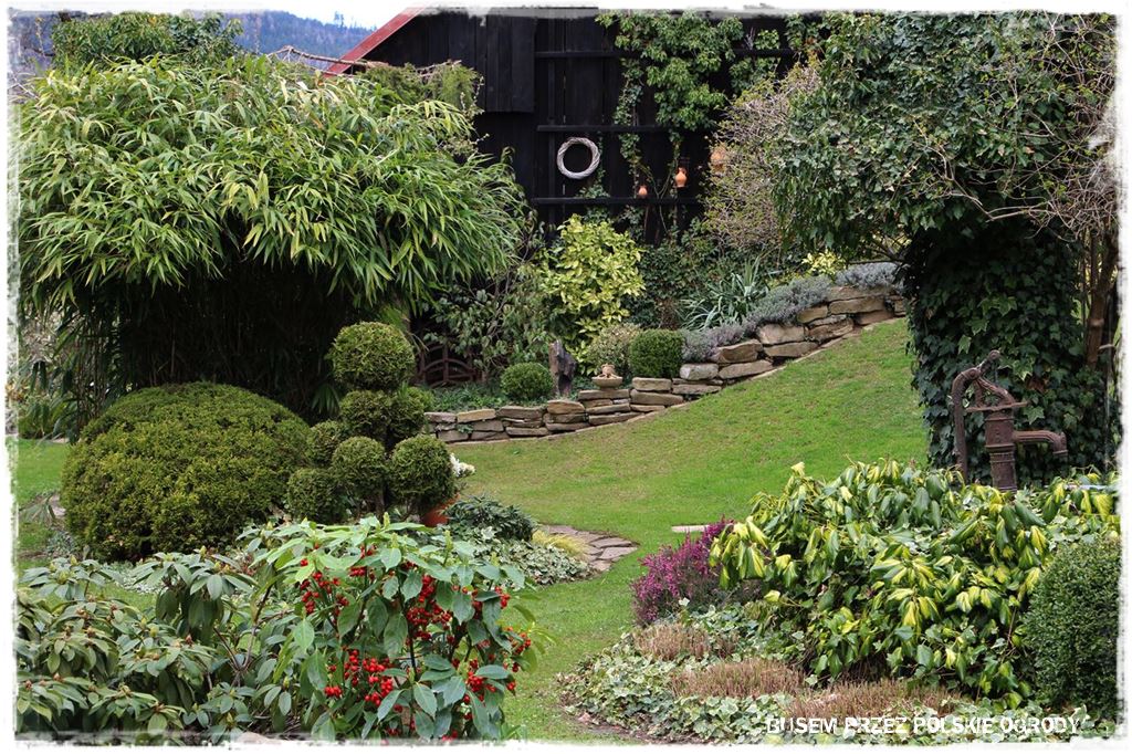 rustykalne siedlisko z kolekcja roslin 1 rustykalne siedlisko z kolekcja roslin 1