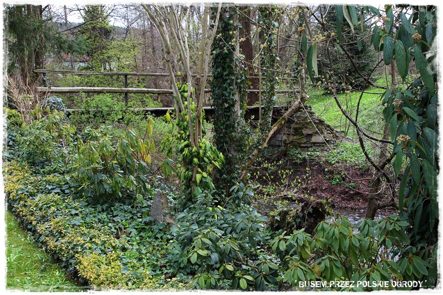rustykalne siedlisko z kolekcja roslin 10 rustykalne siedlisko z kolekcja roslin 10
