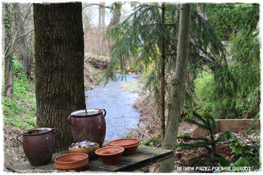 rustykalne siedlisko z kolekcja roslin 11 rustykalne siedlisko z kolekcja roslin 11