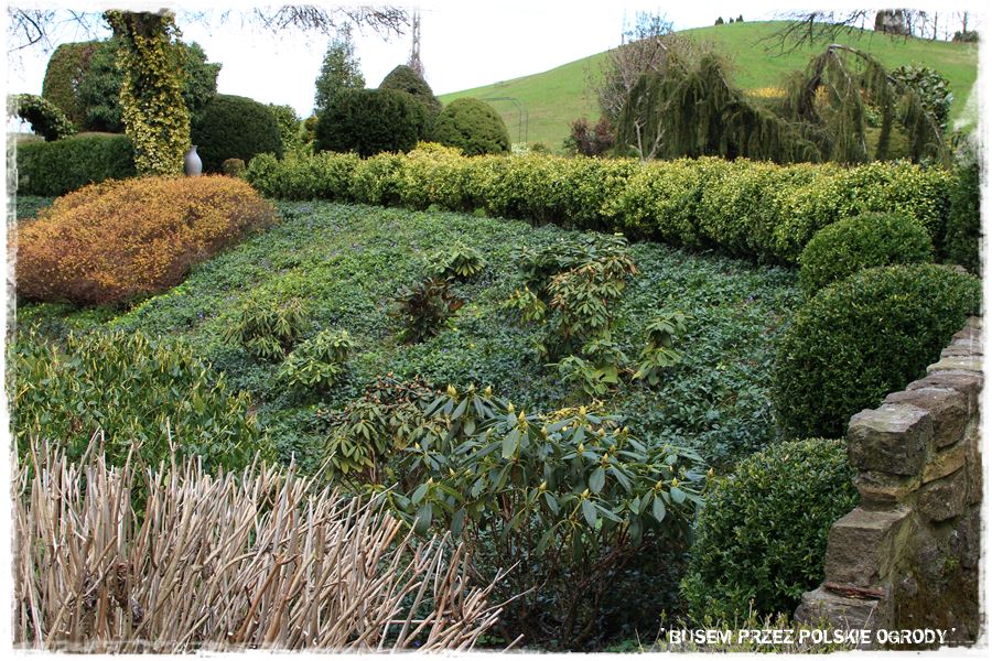 rustykalne siedlisko z kolekcja roslin 12 rustykalne siedlisko z kolekcja roslin 12