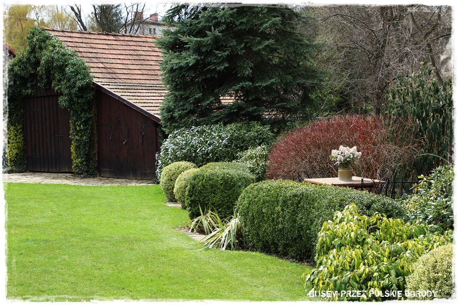 rustykalne siedlisko z kolekcja roslin 13 rustykalne siedlisko z kolekcja roslin 13