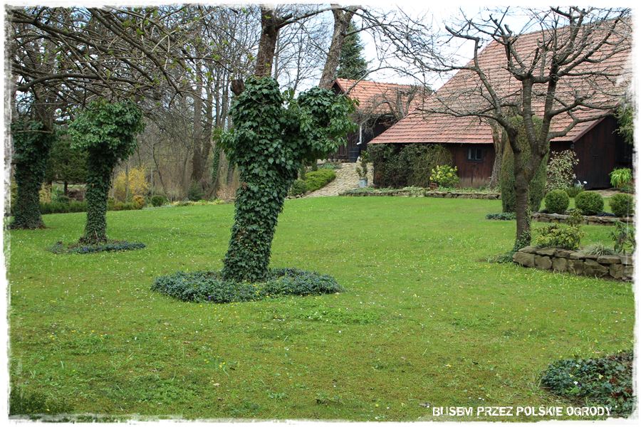 rustykalne siedlisko z kolekcja roslin 14 rustykalne siedlisko z kolekcja roslin 14