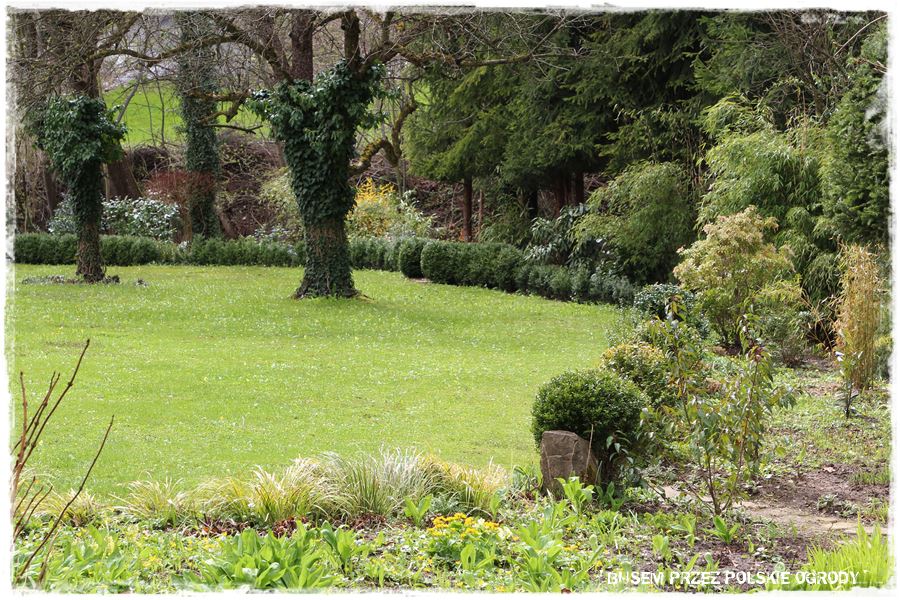 rustykalne siedlisko z kolekcja roslin 16 rustykalne siedlisko z kolekcja roslin 16