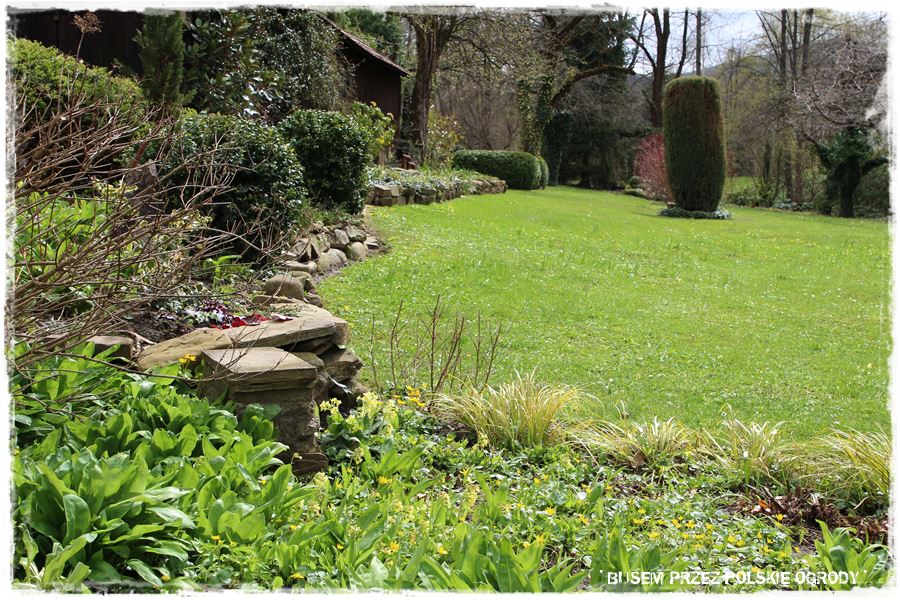 rustykalne siedlisko z kolekcja roslin 17 rustykalne siedlisko z kolekcja roslin 17