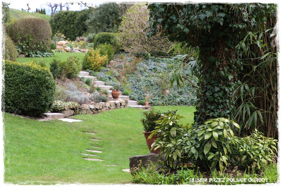 rustykalne siedlisko z kolekcja roslin 18 rustykalne siedlisko z kolekcja roslin 18