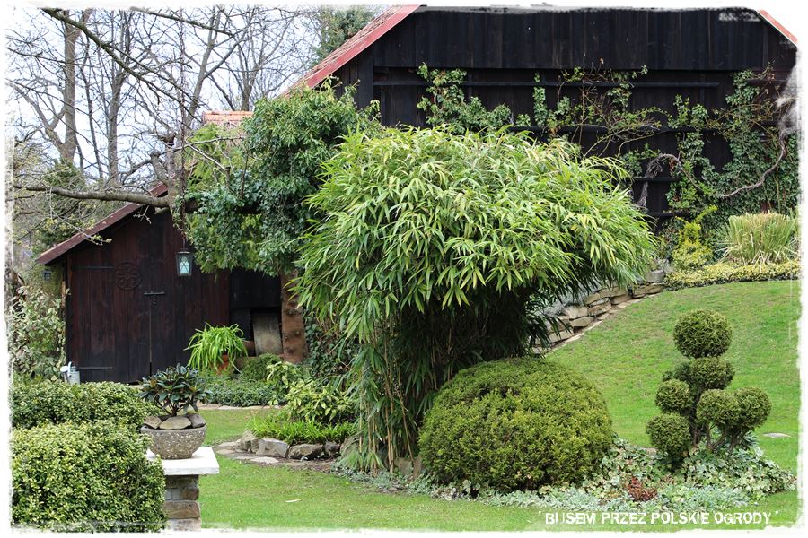 rustykalne siedlisko z kolekcja roslin 19 rustykalne siedlisko z kolekcja roslin 19