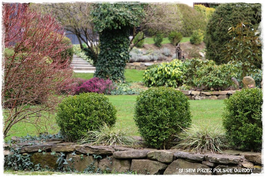rustykalne siedlisko z kolekcja roslin 20 rustykalne siedlisko z kolekcja roslin 20