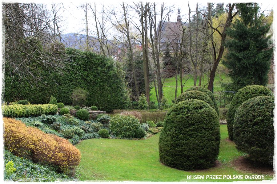 rustykalne siedlisko z kolekcja roslin 21 rustykalne siedlisko z kolekcja roslin 21