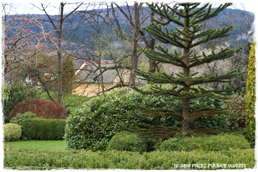 rustykalne siedlisko z kolekcja roslin 23 rustykalne siedlisko z kolekcja roslin 23