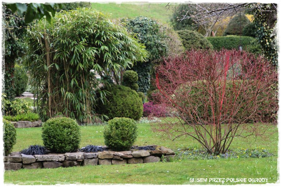rustykalne siedlisko z kolekcja roslin 25 rustykalne siedlisko z kolekcja roslin 25