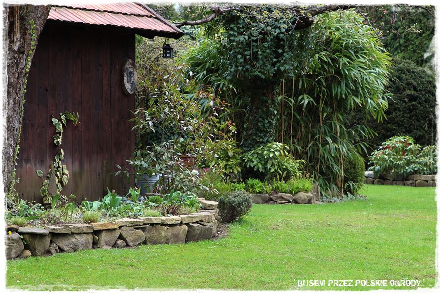 rustykalne siedlisko z kolekcja roslin 26 rustykalne siedlisko z kolekcja roslin 26