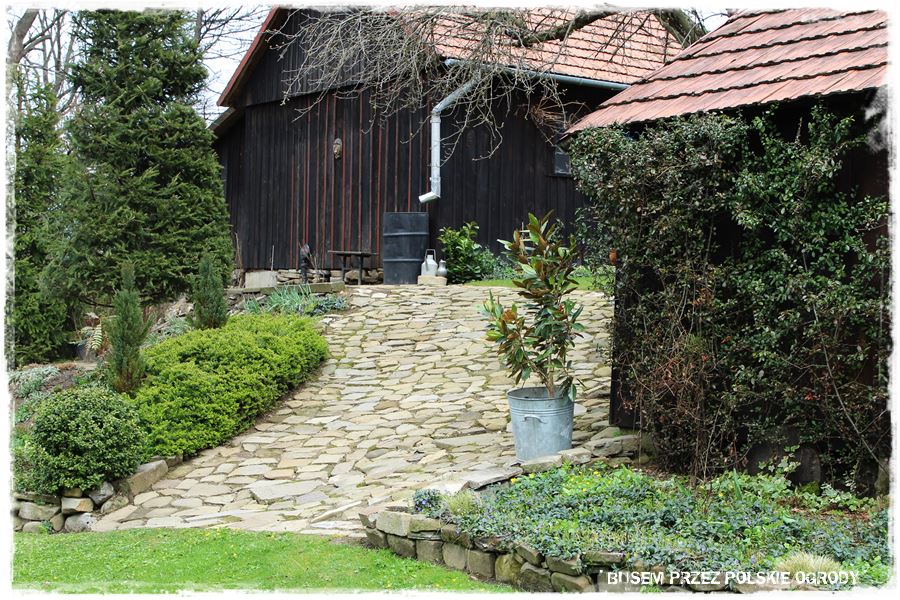 rustykalne siedlisko z kolekcja roslin 28 rustykalne siedlisko z kolekcja roslin 28