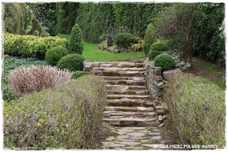 rustykalne siedlisko z kolekcja roslin 29 rustykalne siedlisko z kolekcja roslin 29