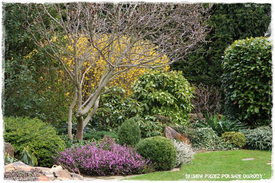 rustykalne siedlisko z kolekcja roslin 3 rustykalne siedlisko z kolekcja roslin 3