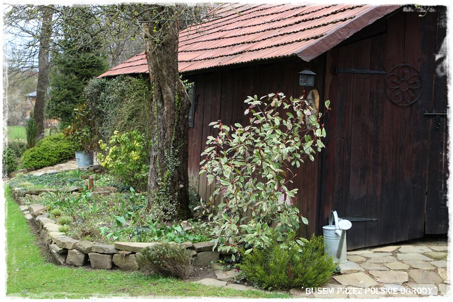 rustykalne siedlisko z kolekcja roslin 31 rustykalne siedlisko z kolekcja roslin 31