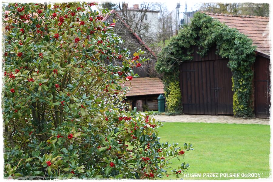 rustykalne siedlisko z kolekcja roslin 32 rustykalne siedlisko z kolekcja roslin 32