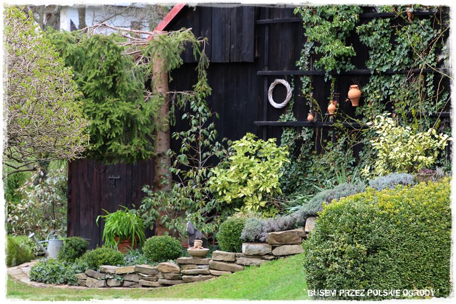 rustykalne siedlisko z kolekcja roslin 33 rustykalne siedlisko z kolekcja roslin 33