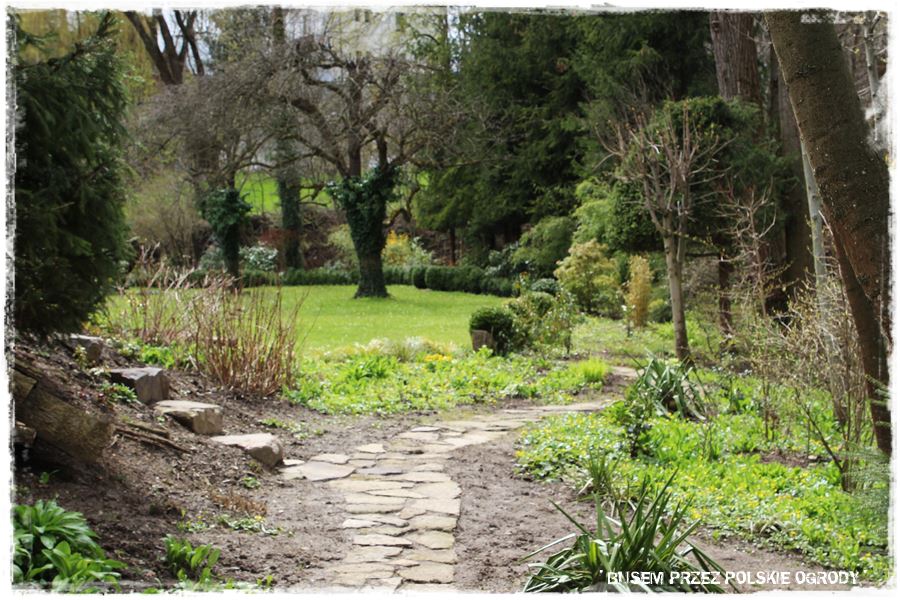 rustykalne siedlisko z kolekcja roslin 35 rustykalne siedlisko z kolekcja roslin 35
