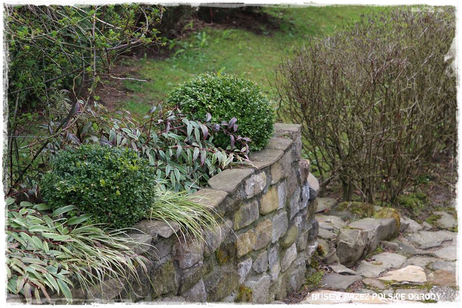 rustykalne siedlisko z kolekcja roslin 36 rustykalne siedlisko z kolekcja roslin 36