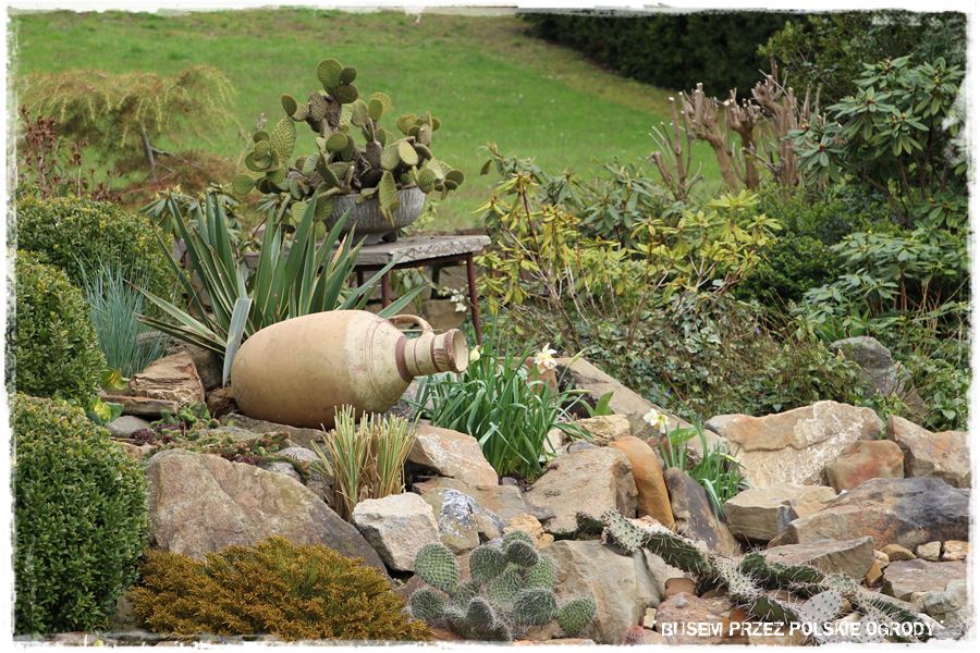 rustykalne siedlisko z kolekcja roslin 37 rustykalne siedlisko z kolekcja roslin 37