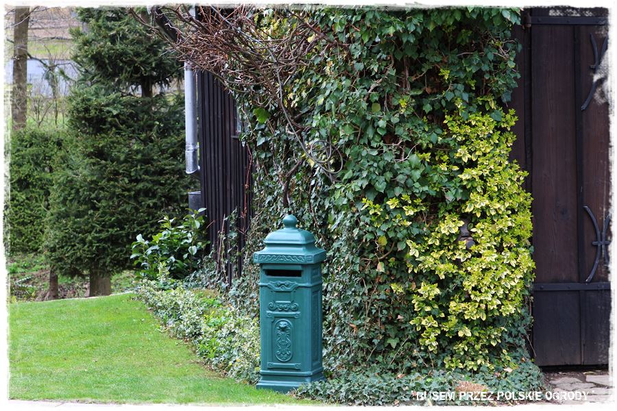 rustykalne siedlisko z kolekcja roslin 39 rustykalne siedlisko z kolekcja roslin 39