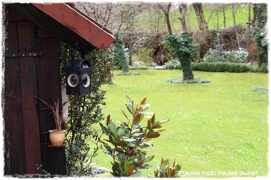 rustykalne siedlisko z kolekcja roslin 40 rustykalne siedlisko z kolekcja roslin 40