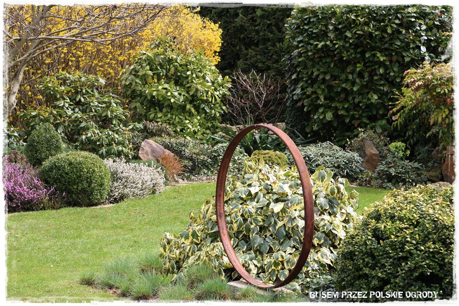 rustykalne siedlisko z kolekcja roslin 41 rustykalne siedlisko z kolekcja roslin 41