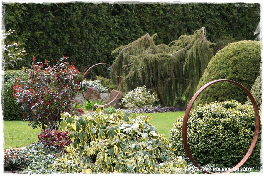 rustykalne siedlisko z kolekcja roslin 42 rustykalne siedlisko z kolekcja roslin 42