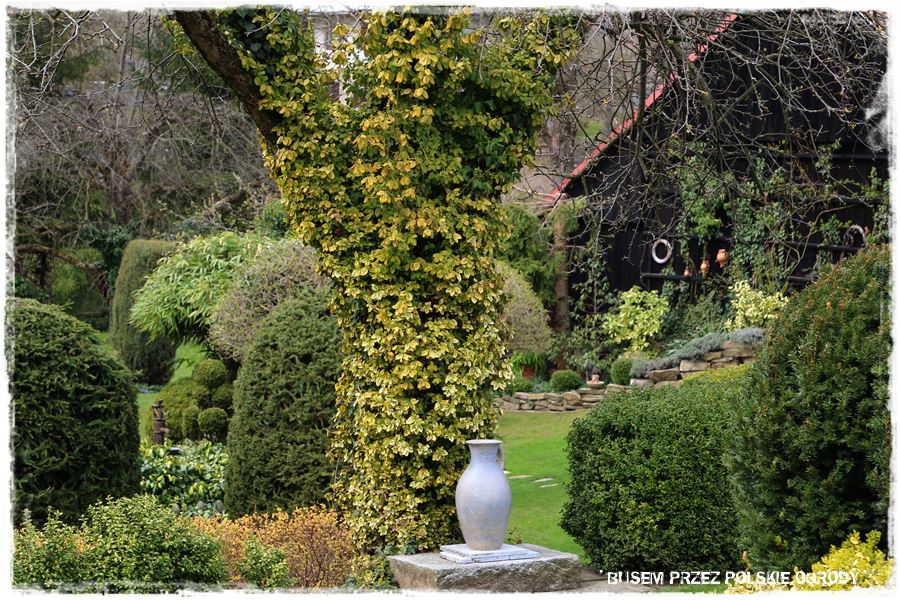 rustykalne siedlisko z kolekcja roslin 43 rustykalne siedlisko z kolekcja roslin 43