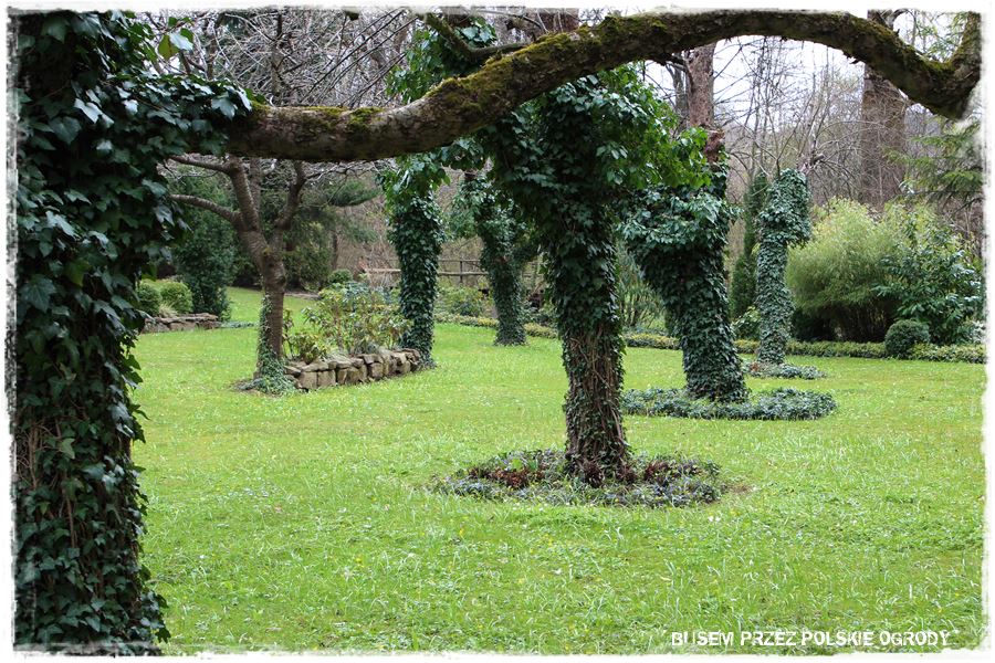 rustykalne siedlisko z kolekcja roslin 45 rustykalne siedlisko z kolekcja roslin 45
