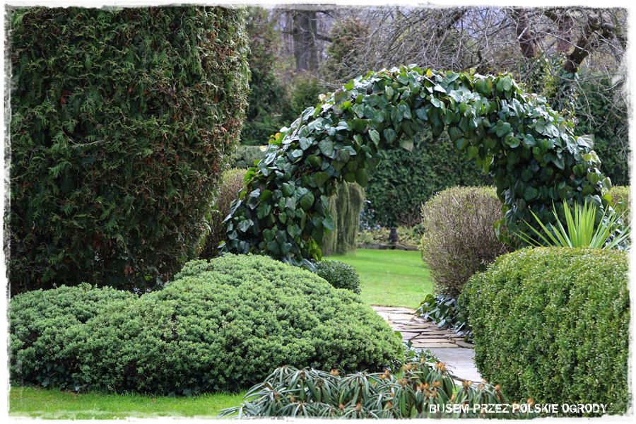 rustykalne siedlisko z kolekcja roslin 46 rustykalne siedlisko z kolekcja roslin 46